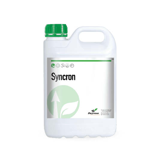 Syncron®
