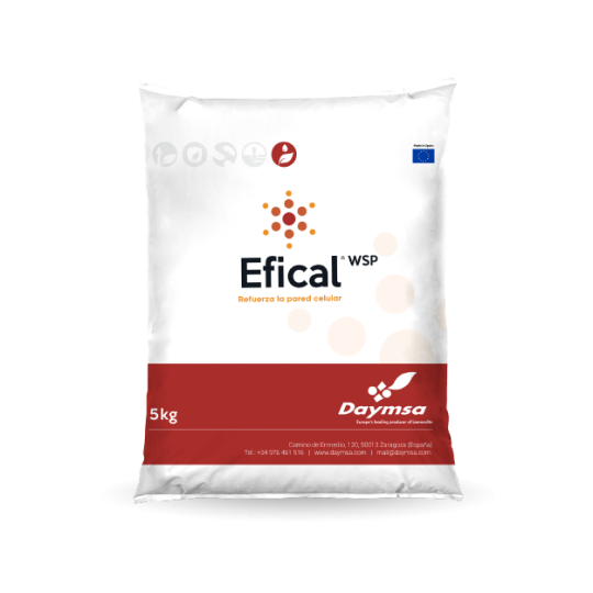 Efical®-WSP