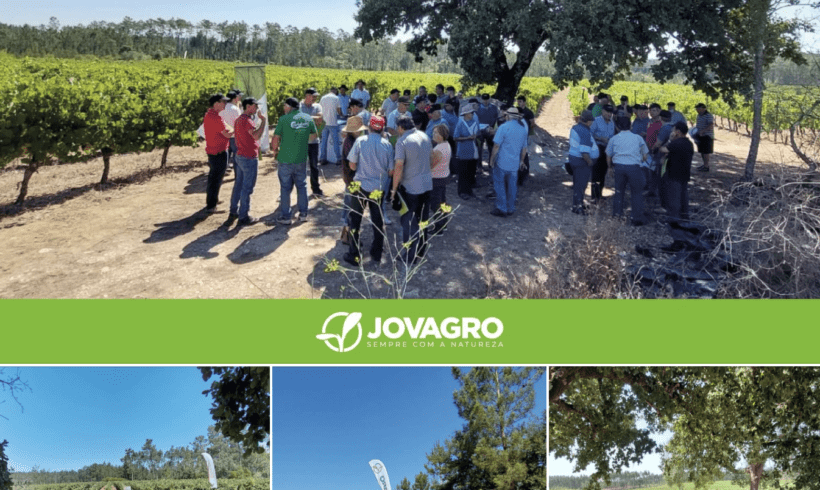 Jovagro promove campos de demonstração no Dão e Bairrada