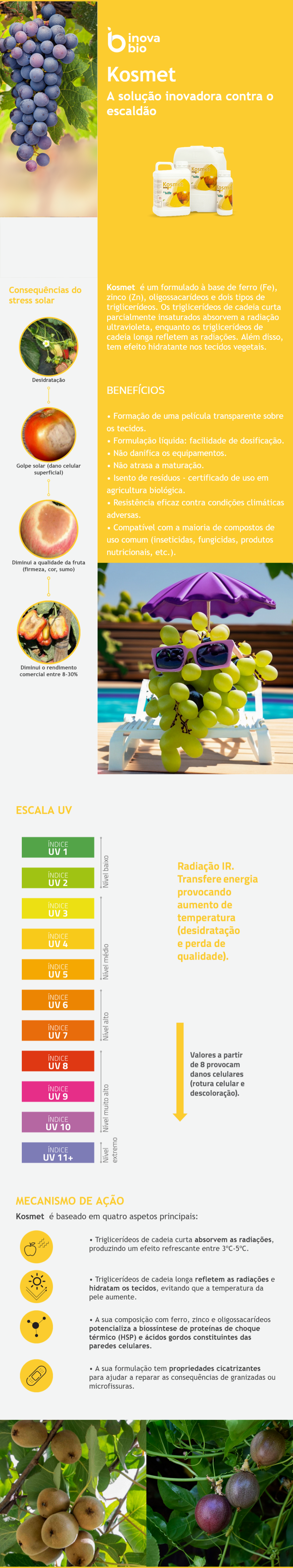 ☀️𝗞𝗼𝘀𝗺𝗲𝘁☀️