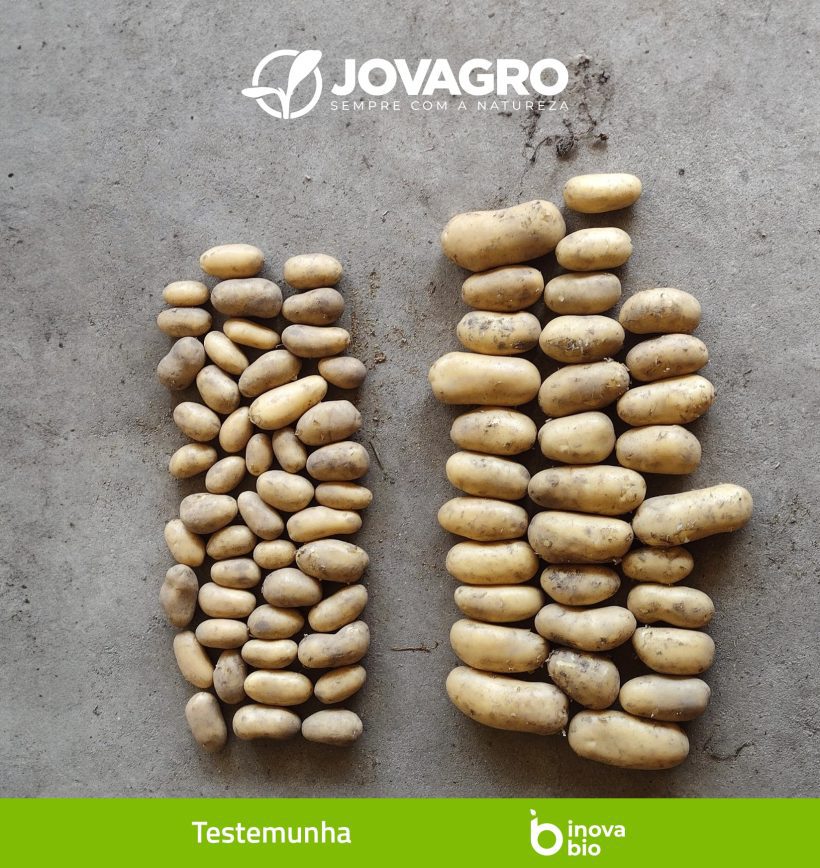 𝗧𝗲𝘀𝘁𝗲𝗺𝘂𝗻𝗵𝗮 𝘃𝘀 𝗣𝗿𝗼𝘁𝗼𝗰𝗼𝗹𝗼 𝗜𝗻𝗼𝘃𝗮𝗯𝗶𝗼