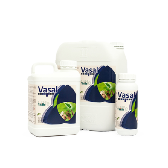 Vasal®