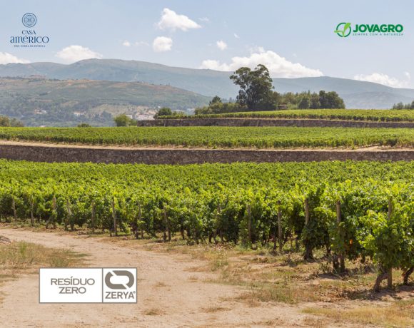 🌿Primeira vinha da Península Ibérica certificada com Resíduo Zero 🌿